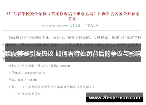 魏震禁赛引发热议 如何看待处罚背后的争议与影响